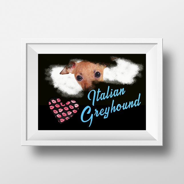 Italienische Greyhound Eyes Solide Farbe Poster (Von Creator hochgeladen)
