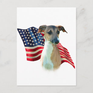 Italienische Greyhound-Flagge Postkarte