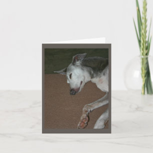Italienische Greyhound-Karte #2 Karte