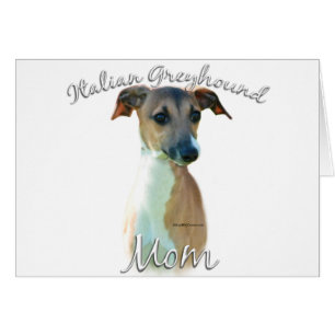 Italienische Greyhound-Mama 2