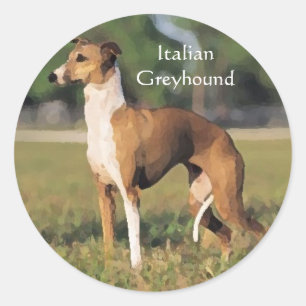 Italienische Greyhound Stickers
