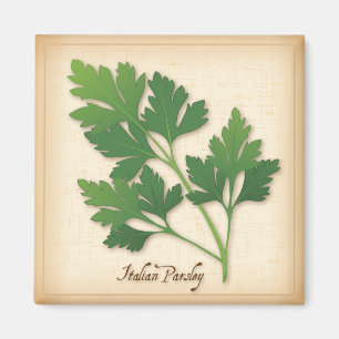 Italienische Parsley Herb Magnet