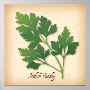 Italienische Parsley Herb Poster