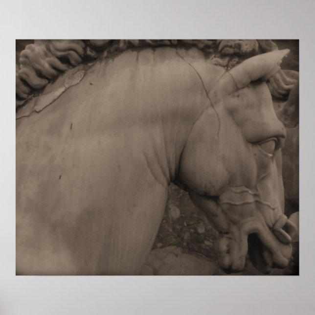 Italienische Renaissance Poster (Vorne)