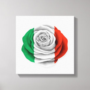Italienische Rose - Weißflagge Leinwanddruck
