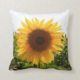 Italienische Sonnenblume Kissen