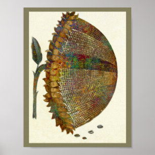 Italienische Sonnenblume Poster