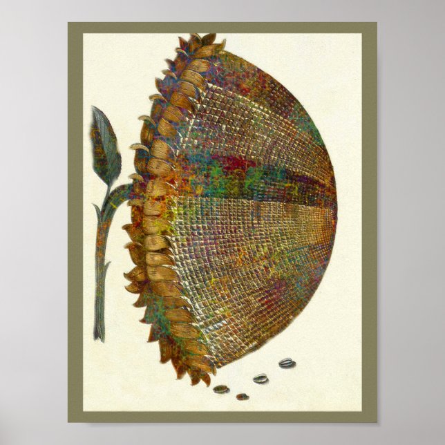 Italienische Sonnenblume Poster (Vorne)