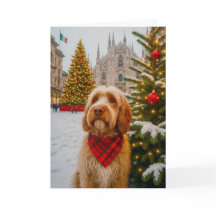 Italienische Spinone-Weihnachtskarte