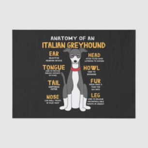 Italienische Windhund Anatomie Funny Hunde Mama Va Seidenpapier