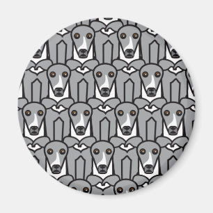 Italienische Windhunde Magnet