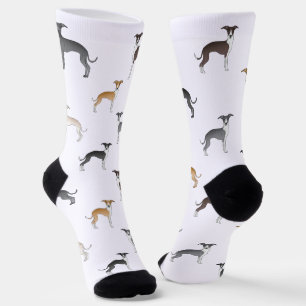 Italienische Windhunde mit verschiedenen Farben Mu Socken