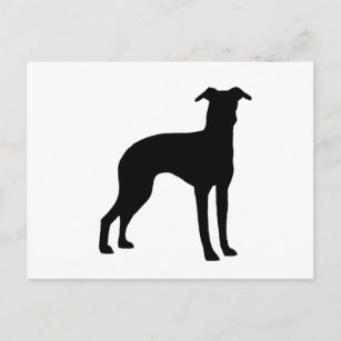 Italienische Windhunde-Silhouette Postkarte
