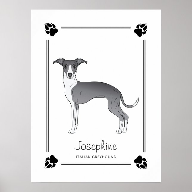 Italienischer Grauhund mit Paws & Text Poster (Vorne)