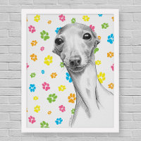 Italienischer Grauhund Niedlich Funny Sketch Portr