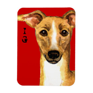 Italienischer Greyhound-Farbblock Magnet