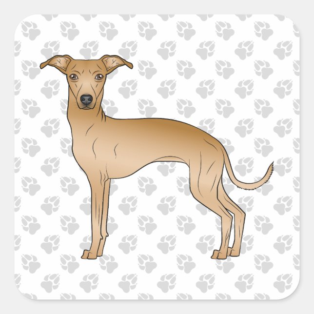 Italienischer Greyhound Niedlicher Cartoon Hund mi Quadratischer Aufkleber (Vorderseite)