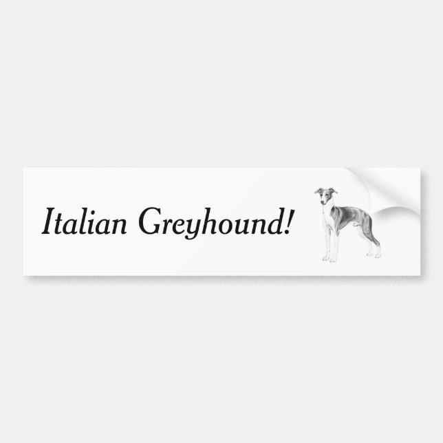 Italienischer Greyhound-Stil Autoaufkleber (Vorne)