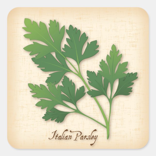 Italienischer Parsley-Herb-Square-Aufkleber Quadratischer Aufkleber (Vorderseite)