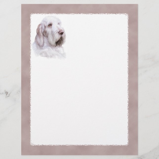 Italienischer Spinone Italiano (Vorderseite)