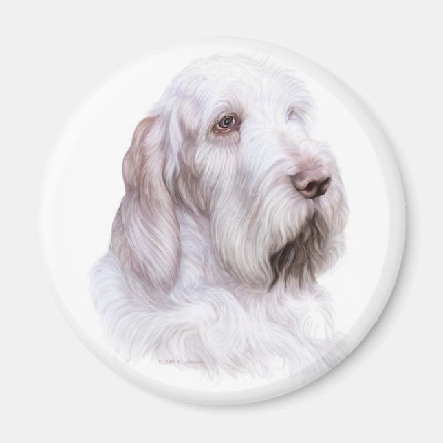 Italienischer Spinone Italiano Magnet (Vorne)