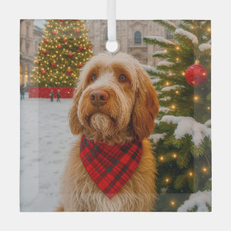Italienischer Spinone Ornament Aus Glas
