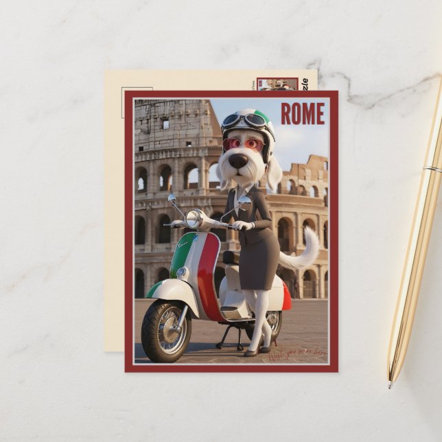 Italienischer Spinone Rom Postkarte (Vorderseite/Rückseite Beispiel)