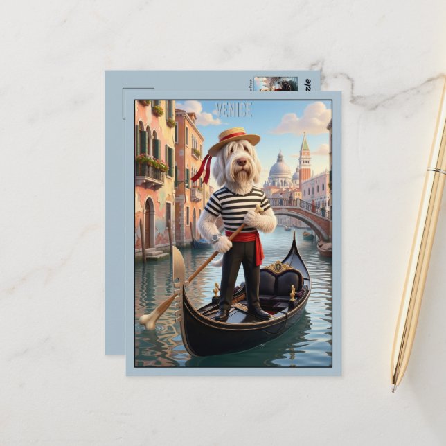Italienischer Spinone Venedig Postkarte (Vorderseite/Rückseite Beispiel)