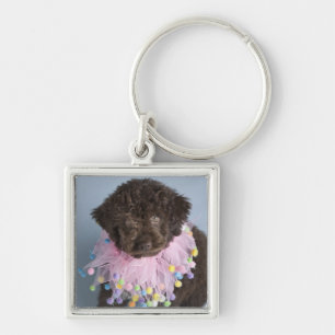 Italienischer Welpe des Wasser-Hund(Lagotto) Schlüsselanhänger