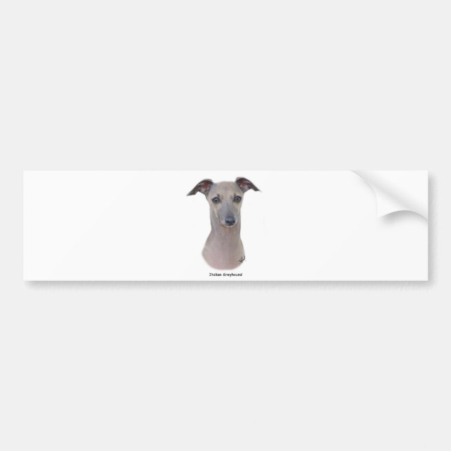 Italienischer Windhund 9K75D-11 Autoaufkleber (Vorne)