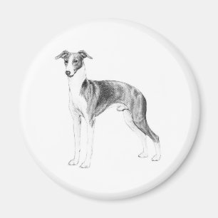 Italienischer Windhund-Art Magnet