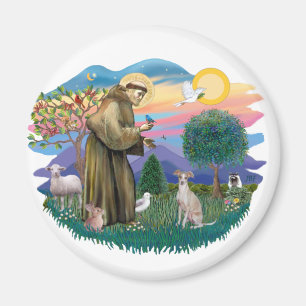 Italienischer Windhund (Creme) Magnet