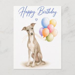 Italienischer-Windhund-Geburtstag Postkarte