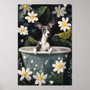 Italienischer Windhund im Badewannenposter, Lustig Poster
