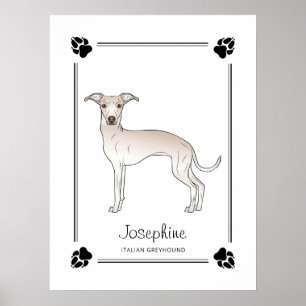 Italienischer Windhund in Creme mit Pfoten und ind Poster