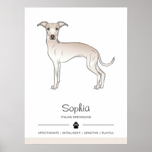 Italienischer Windhund mit individuellem Text in C Poster