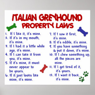 ITALIENISCHER WINDHUND PL2 POSTER
