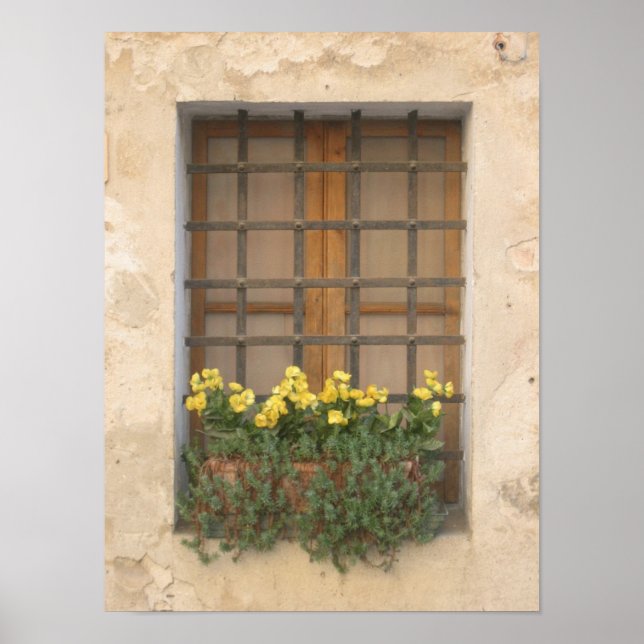 Italienisches Fenster Poster (Vorne)