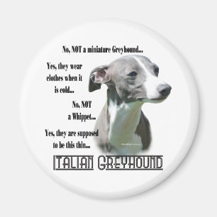 Italienisches Greyhound FAQ Magnet