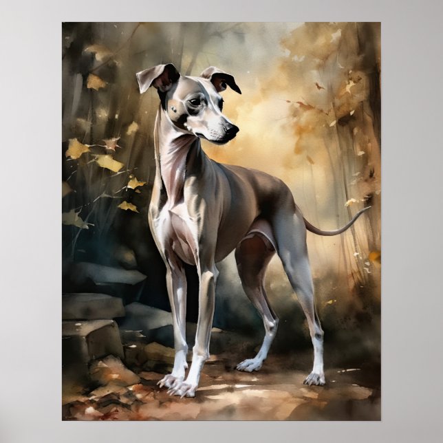 Italienisches Greyhound Hund Art Print Poster (Vorne)