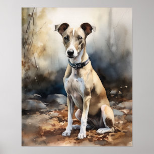 Italienisches Greyhound Hund Art Print Poster