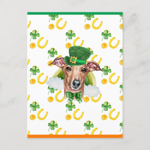 Italienisches Greyhound Kleeblatt St Patricks Day Feiertagspostkarte