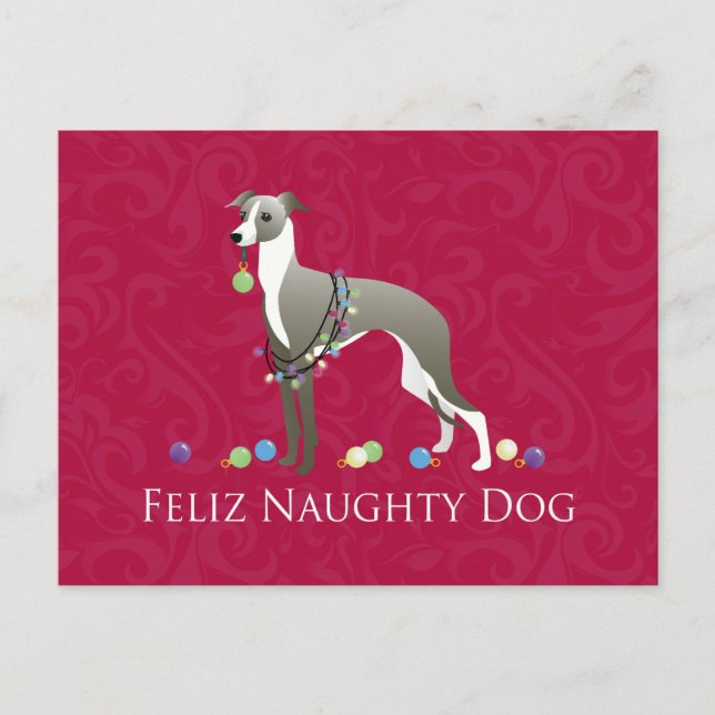 Italienisches Greyhound Weihnachtsdesign Feiertagspostkarte (Vorderseite)
