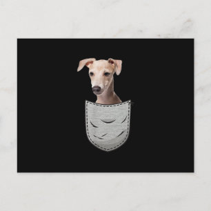 Italienisches Greyhound Whippet Brustpocket für Hu Postkarte