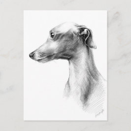 Italienisches Greyhound Whippet Hundeportrait zeic Postkarte