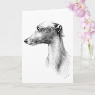 Italienisches Greyhound Whippet Hundportrait zeich Karte