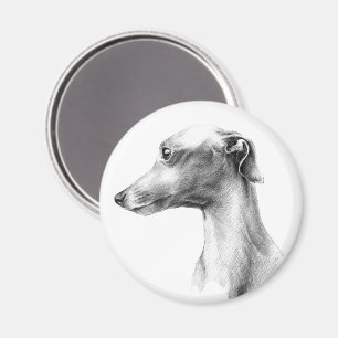Italienisches Greyhound Whippet Hundportrait zeich Magnet