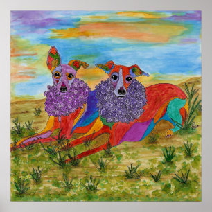 Italienisches Greyhounds Poster 19" x 13" (anpassb