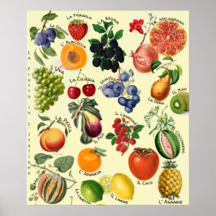 Italienisches Obst-Sprachdiagramm Poster