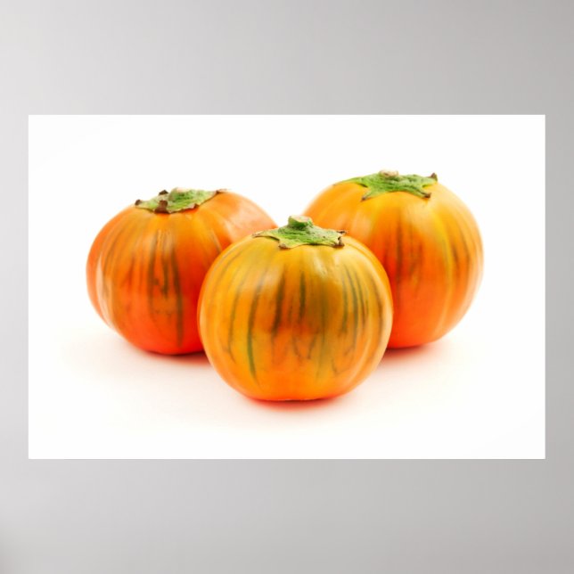 Italienisches Rotauge Poster (Vorne)